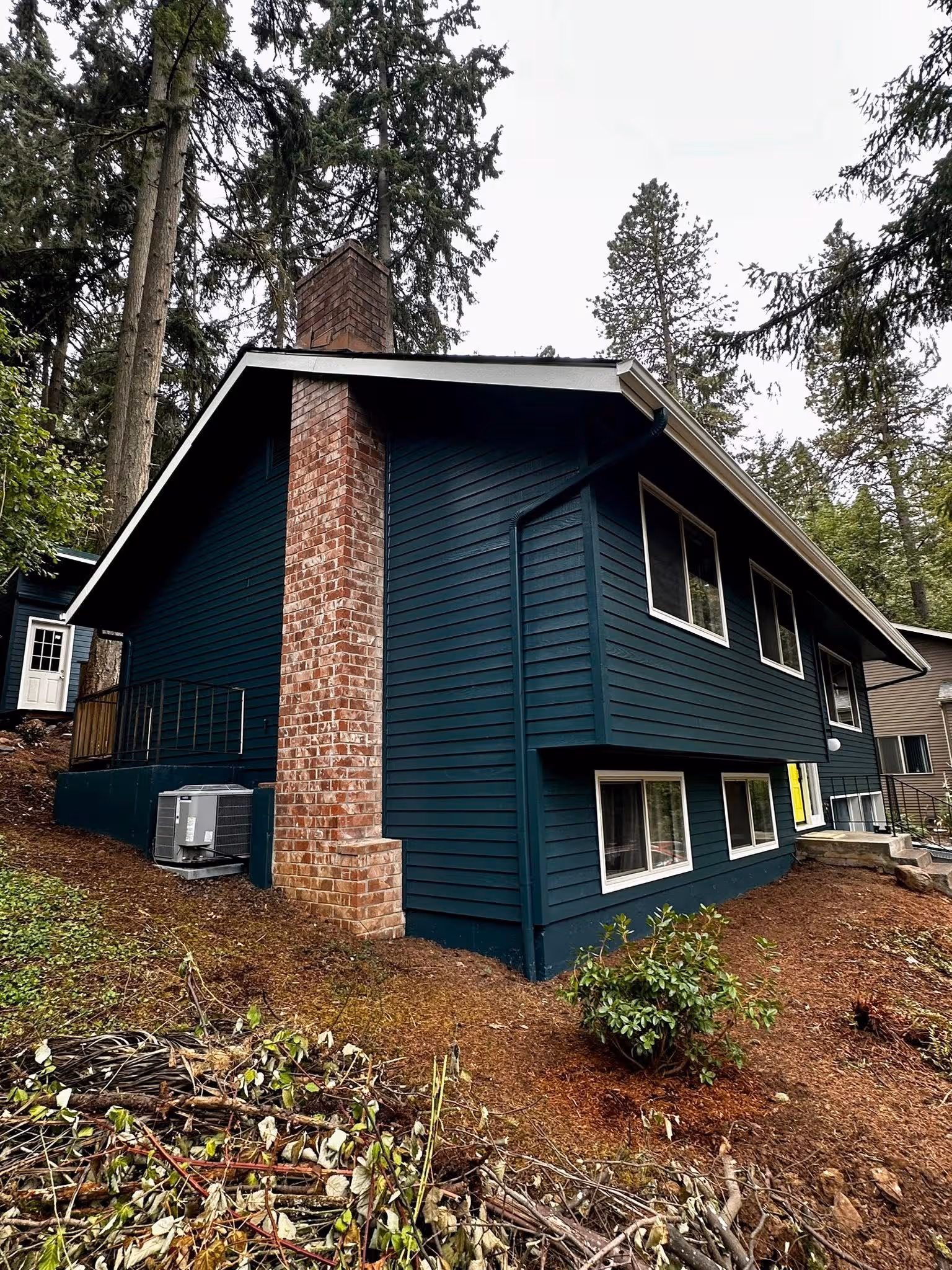 Blue house with brick chimney, white-trimmed windows, and forested surroundings on a sloped yard.